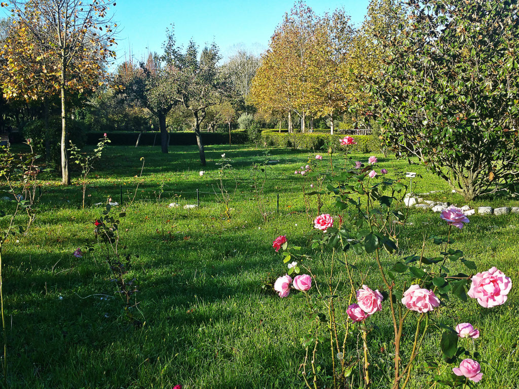 Il Giardino del Parco "Le Grazie" (Ph. Massimo Santafè)